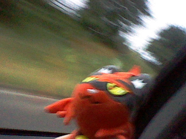 a photo of torracat in a car taken using the o3DS camera