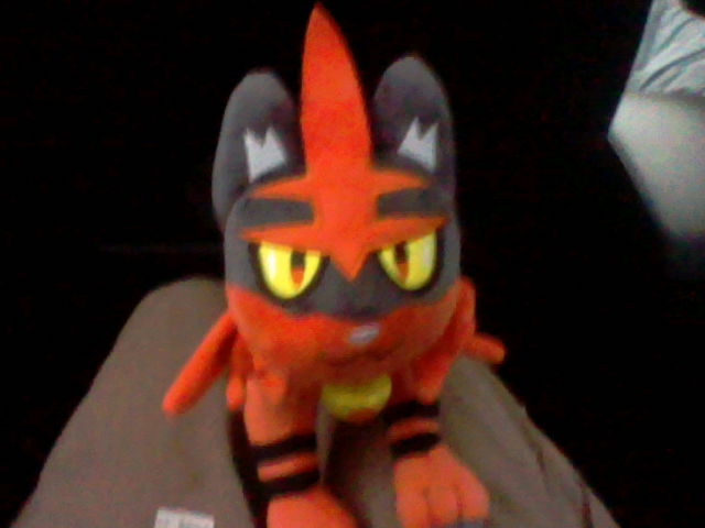 a photo of torracat in my lap taken using the o3DS camera