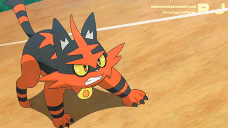 gif of torracat running while enveloped in flames
