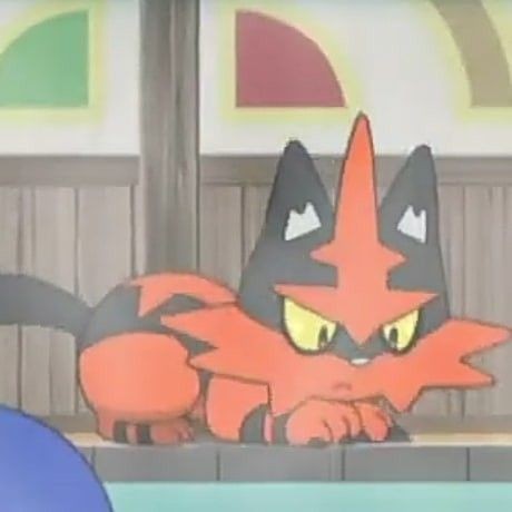 anime Torracat sat down