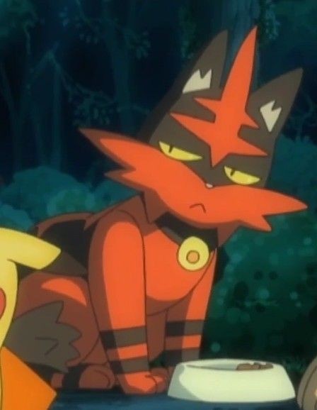 anime Torracat sat down