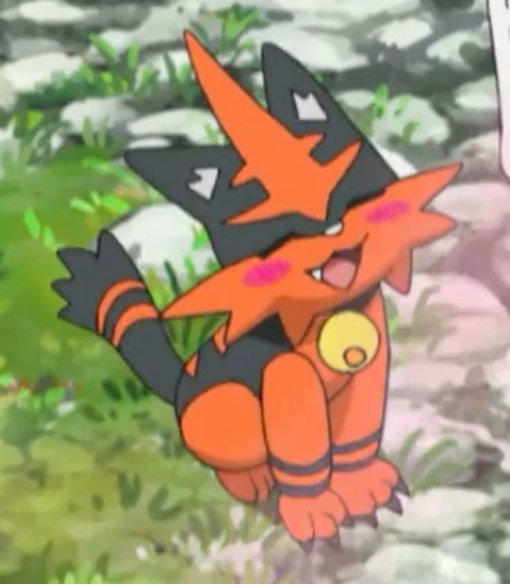 anime Torracat sat down