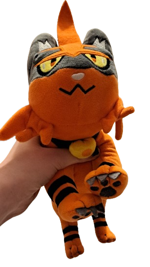 me showing my love for my torracat plush