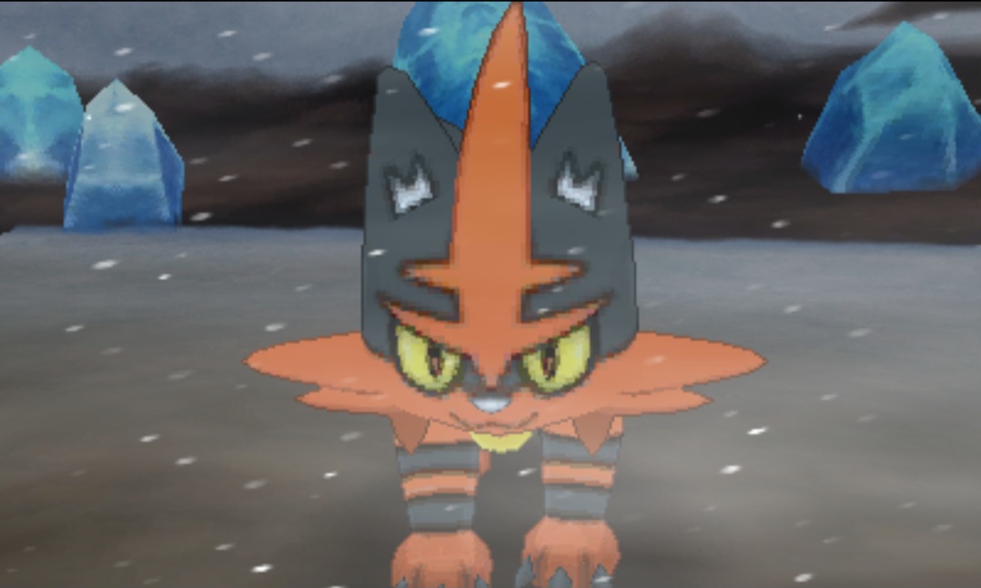 a screenshot of torracat in pokemon ultra sun