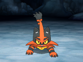 a screenshot of torracat in pokemon ultra sun