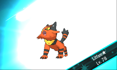 a screenshot of torracat in pokemon ultra sun