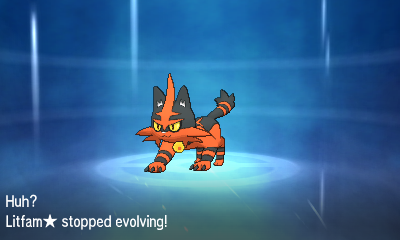 a screenshot of torracat in pokemon ultra sun
