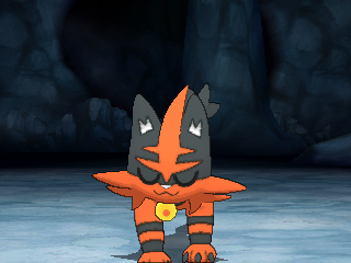 a screenshot of torracat in pokemon ultra sun