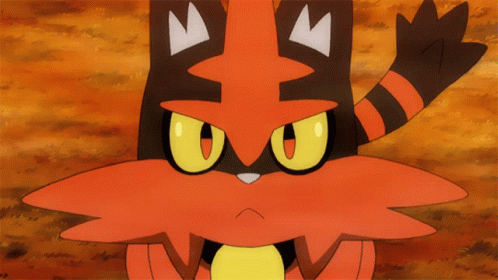 a gif of torracat smiling