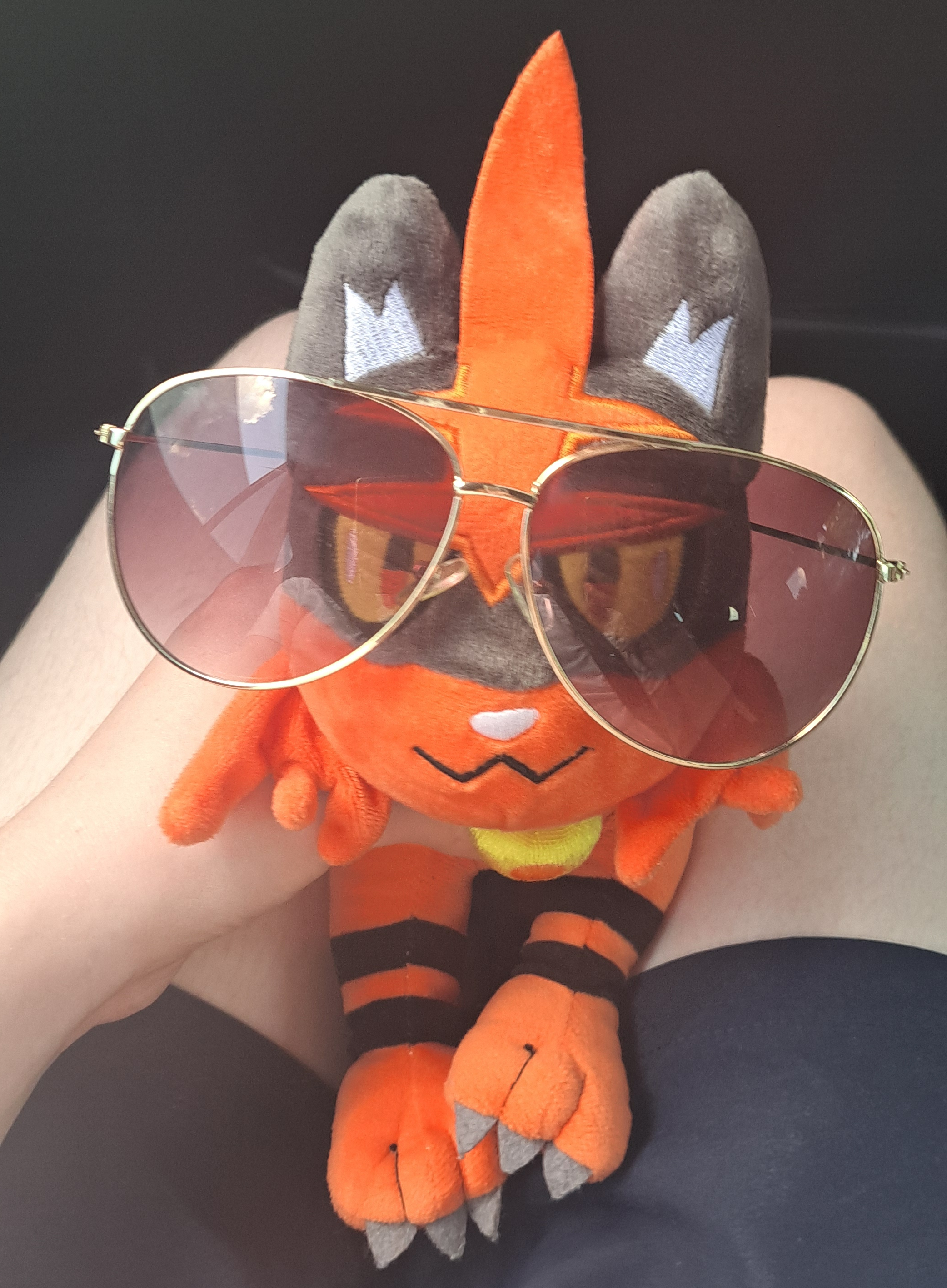 a photo of my torracat plush on my lap wearing sunglasses
