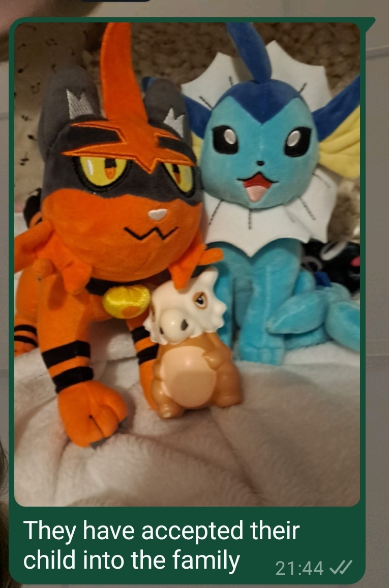 a screenshot of a whatsapp message from myself with a photo of my torracat and vaporeon plushies with a cubone squishy beneath them. The message reads they have accepted their child into the family