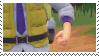 arven from pokemon
