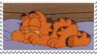 garfield sleeping